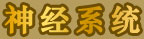 神經(jīng)系統(tǒng)