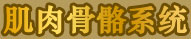 肌肉骨骼系統(tǒng)